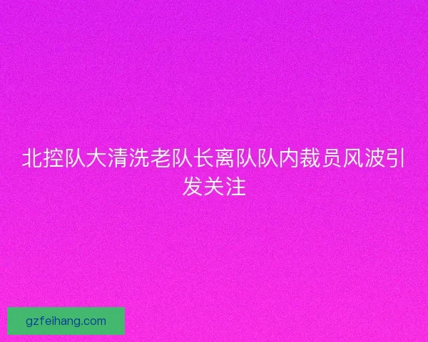 北控队大清洗老队长离队队内裁员风波引发关注 北控队大清洗老队长离队队内裁员风波引发关注