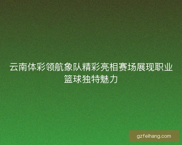 云南体彩领航象队精彩亮相赛场展现职业篮球独特魅力